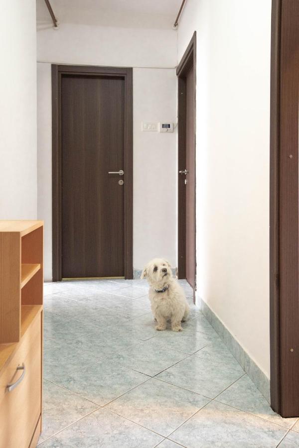 Cosy Apartment Hugo โอซีเยก ภายนอก รูปภาพ